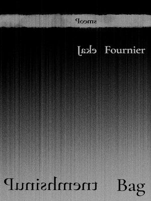 cover image of Punishment Bag